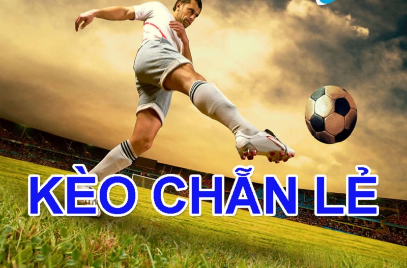 295326.T02D363d0ac46363e6 Chơi kèo chẵn lẻ tại Dafabet vip vô cùng thú vị